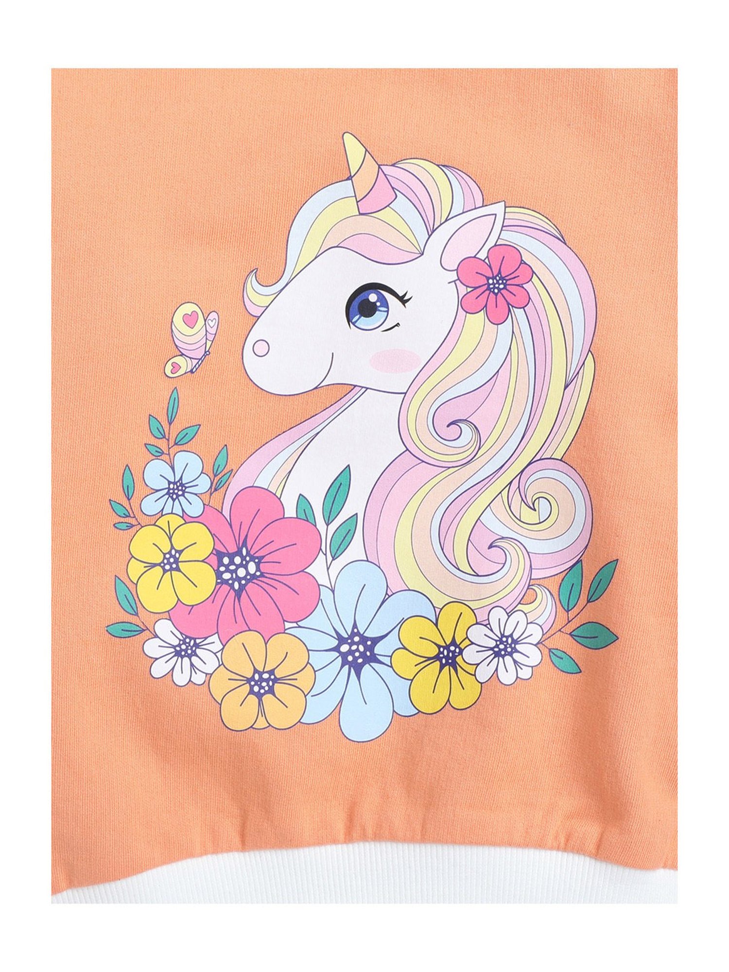 Bumzee Kids Coral Printed Full Sleeves Sweatshirt