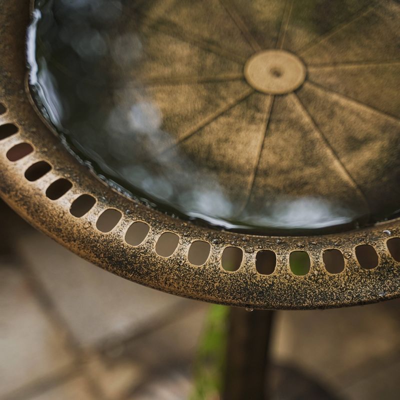 33" Lightweight Plastic Outdoor Flower Design Birdbath and Birdfeeder Bronze - XBrand