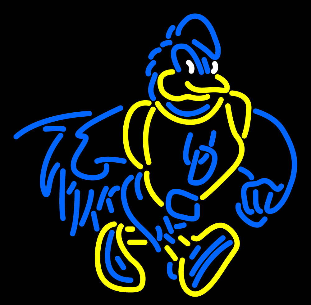 Fashion Neon Sign Delaware  Handcrafted Real Glass Lamp Neon Light Neon Sign Beerbar Sign Neon Beer Sign 19x15