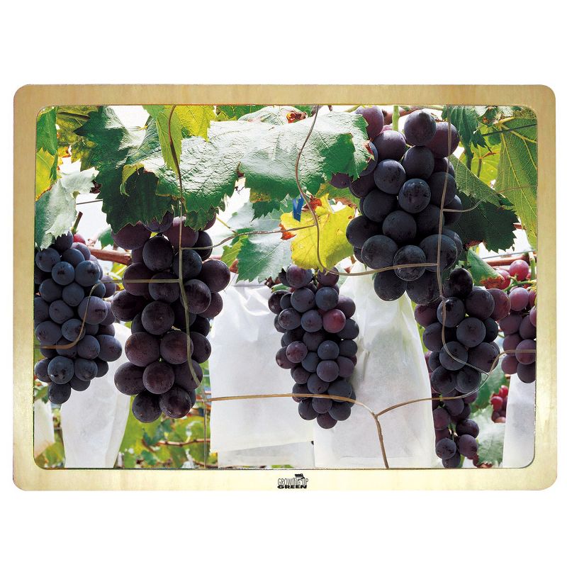 MOJO Fresh Fruits Puzzles - Set of 6 Puzzles - Promote Healthy Living and Healthy Eating
