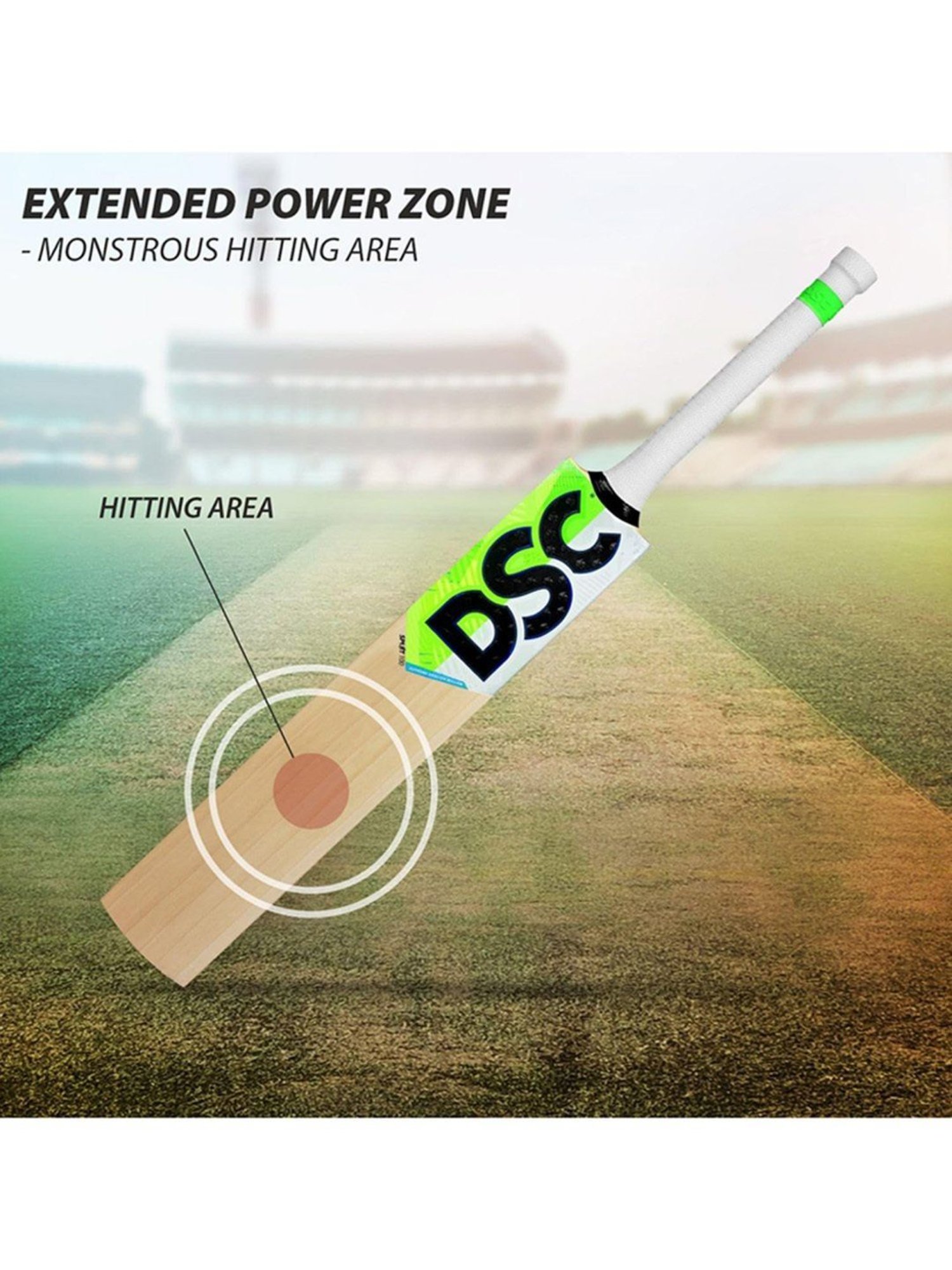 DSC SPLIIT 100 English Willow Cricket Bat Size - Mens