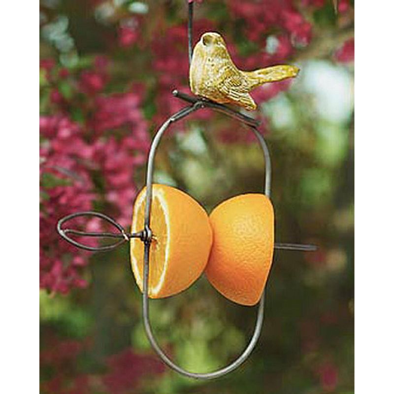 Fruit Feeder - ANCIENT GRAFFITI