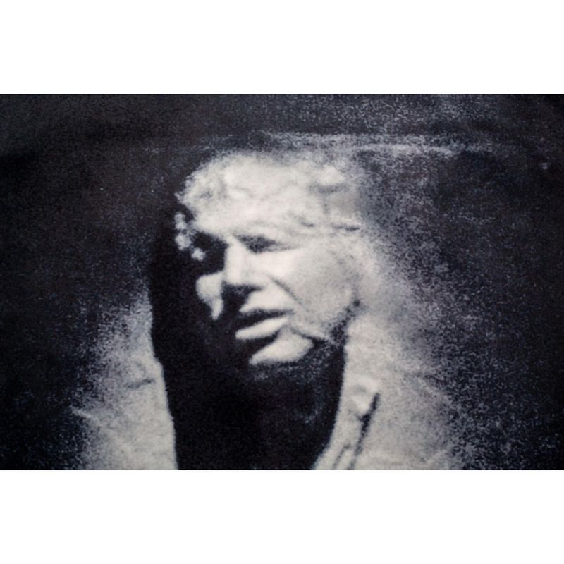 Robe Factory LLC Star Wars Han Solo In Carbonite Shower Curtain | 71 x 71 Inches