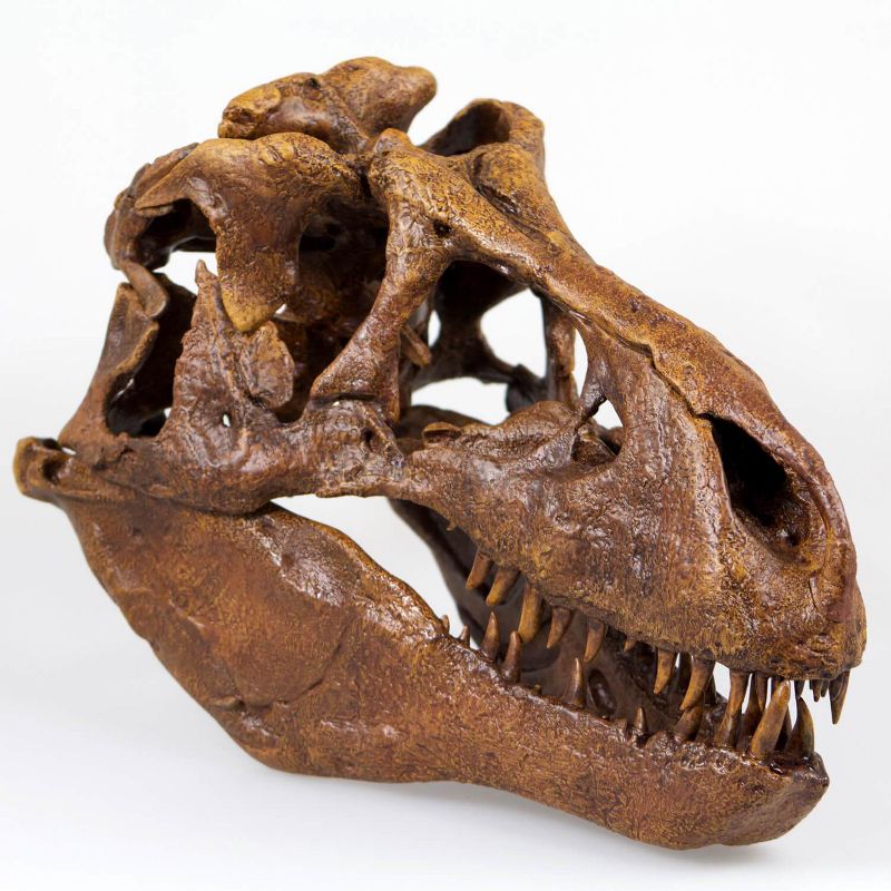 Master Replicas T-Rex Skull Quarter Scale Smithsonian Fossil Replica - 11 Inches
