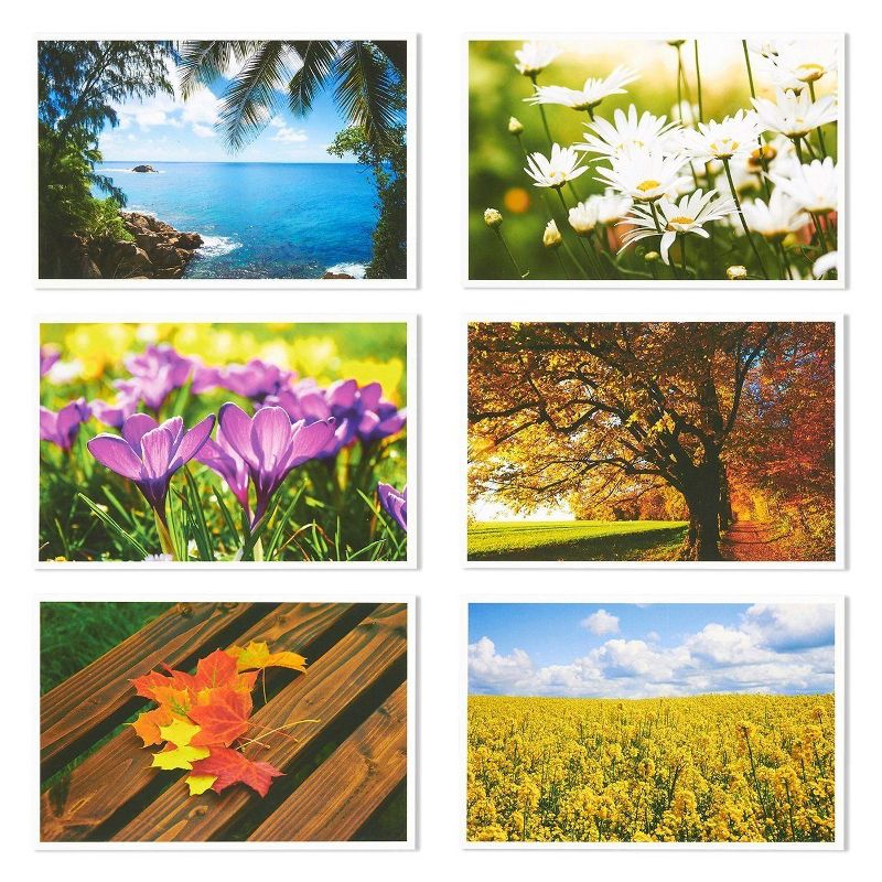 40 Pack Postcard Four Seasons Fall Autumn Winter Summer Spring Theme Self Mailer