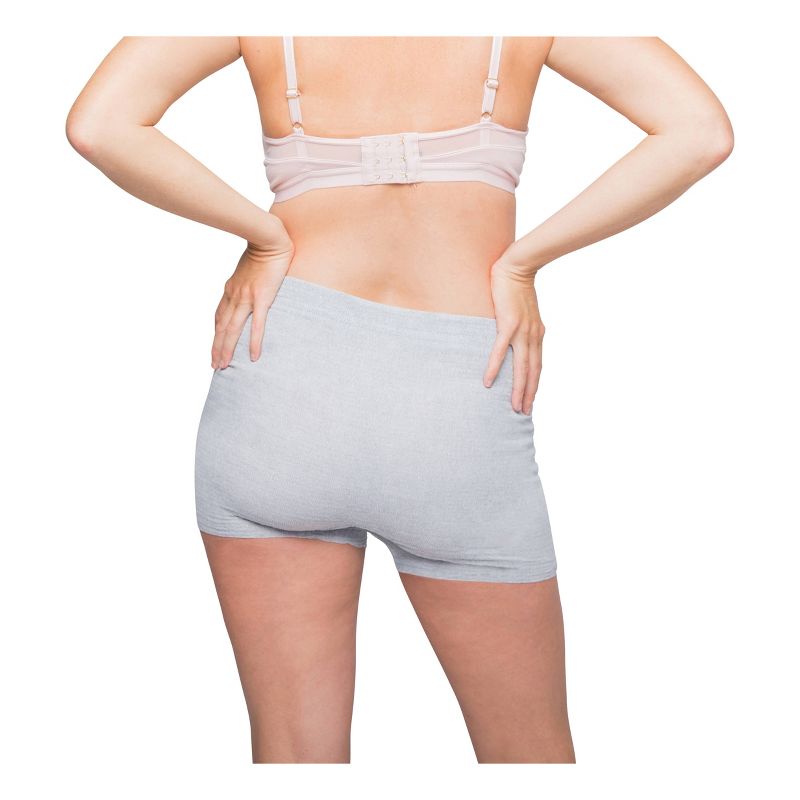 Frida Mom Disposable Postpartum Underwear Boy Shorts Briefs - Regular 8ct