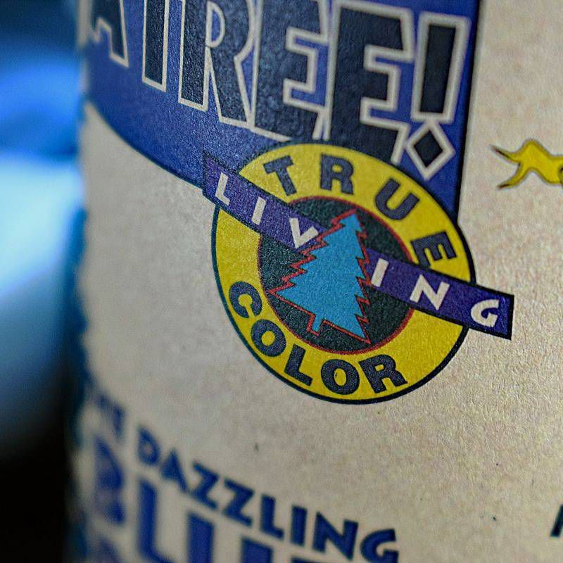 2pk Colorado Blue Spruce Seed Grow Kit - The Jonsteen Company