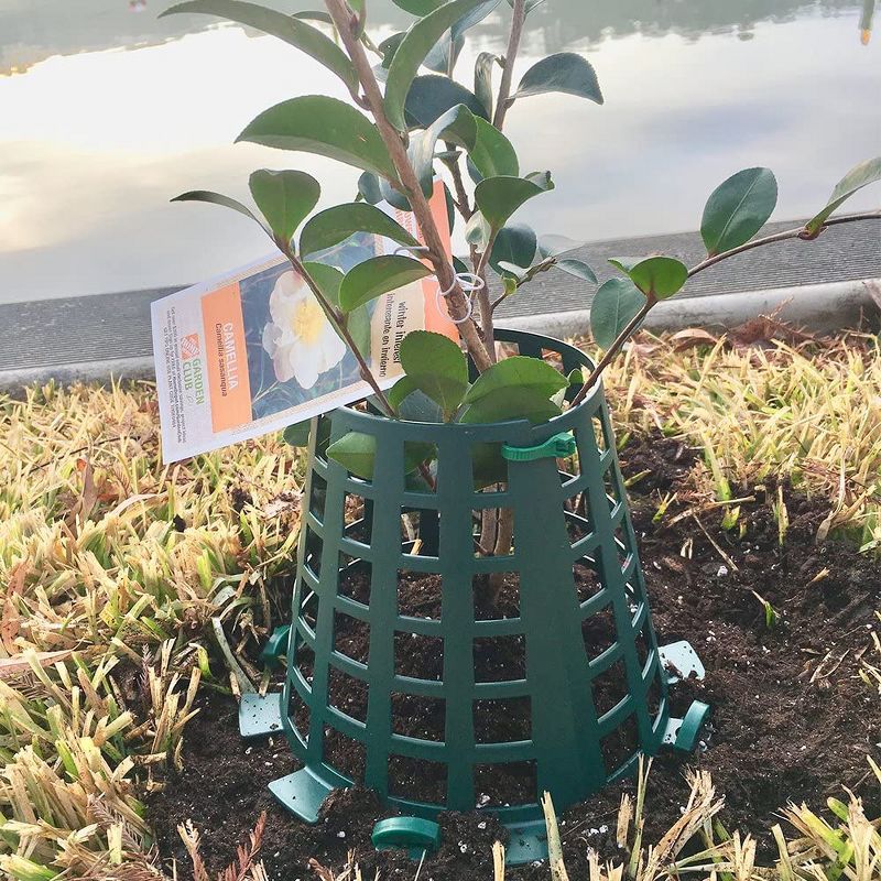 Plant Knight Tree Trunk Guard Protector with 6 Inch Plastic Expandable Wrap Fence Cage Ventilation and Clip for Garden Protection, 6 Pack (Green)