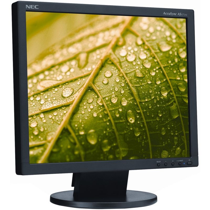 NEC Display AccuSync AS173M-BK 17" SXGA LED LCD Monitor - 5:4 - 17" Class - Twisted nematic (TN) - 1280 x 1024 - 16.7 Million Colors - 250 Nit Typical