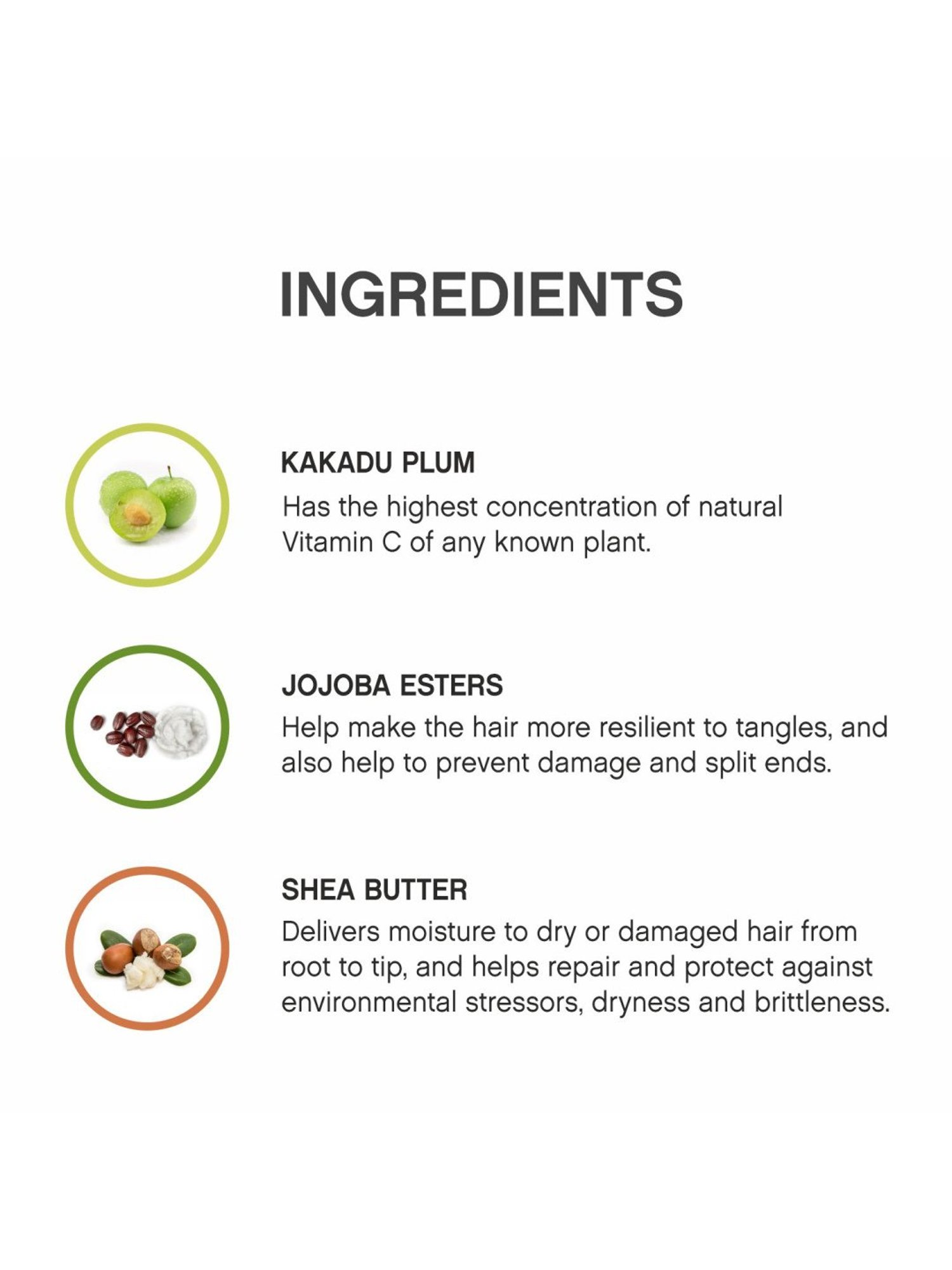 KEVIN MURPHY HYDRATE-ME.RINSE 40 ML