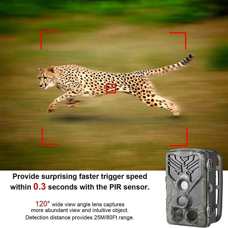 Trail Camera &ndash; 12MP 1080P FHD Wildlife Scouting Hunting Camera with 30 pcs Infra LEDs up to 65ft/20m for Wildlife Scouting Digital Surveillance Waterproof IP65