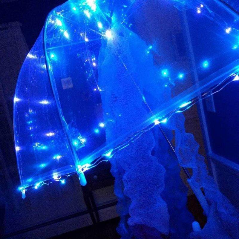 ER CHEN 33ft Led String Lights,100 Led Fairy Starry Lights on 10M Silver Coating Copper Wire String Lights for Christmas (Blue)