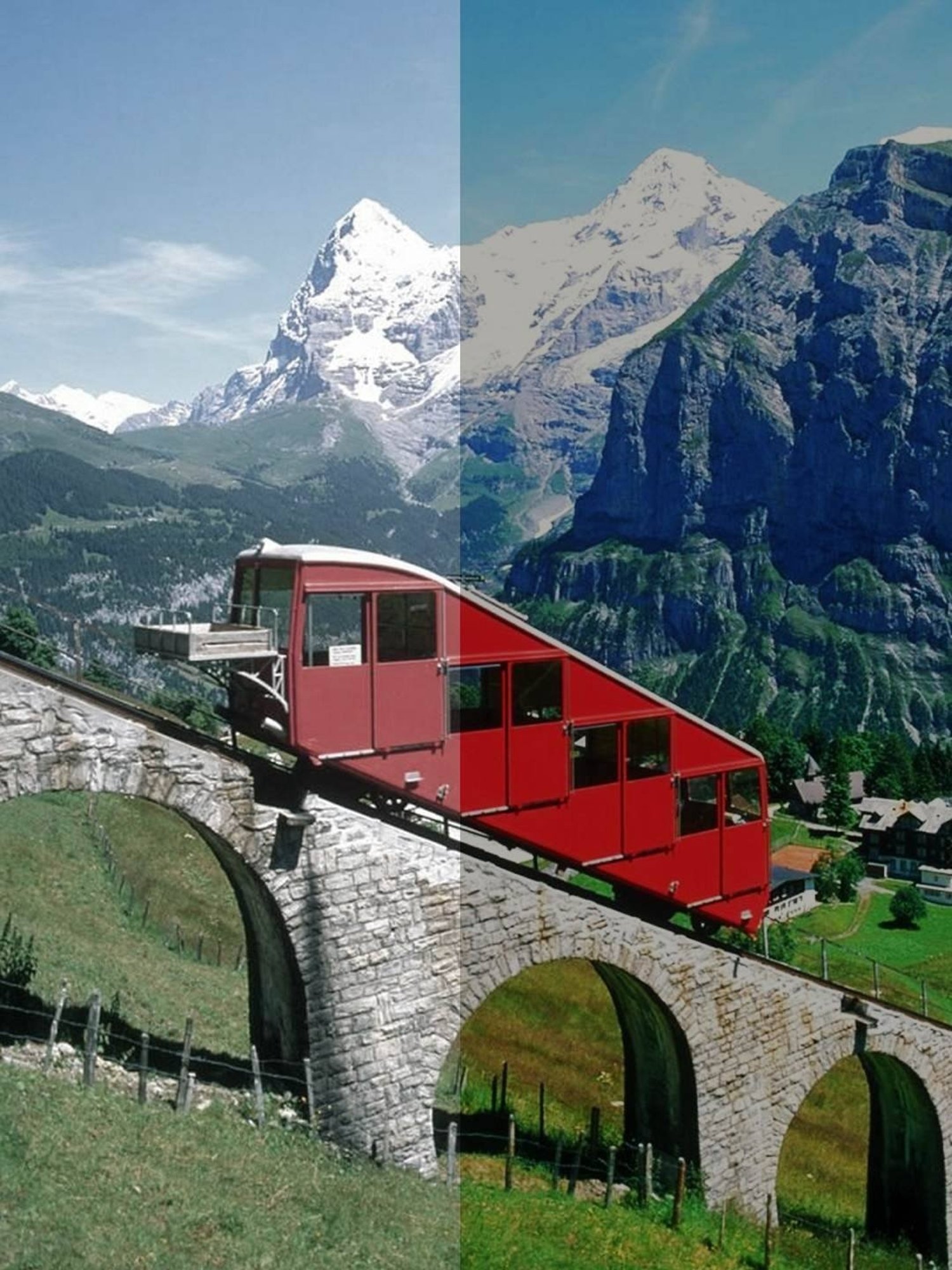 Shisen Fox Niko Matte Black Square Unisex UV Protection Sunglasses -46 mm