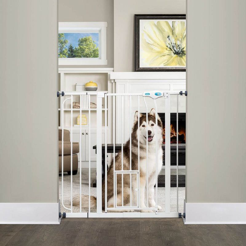 Carlson Pet Products 36" Extra Tall Pet Gate with Lift Handle and Small Pet Door