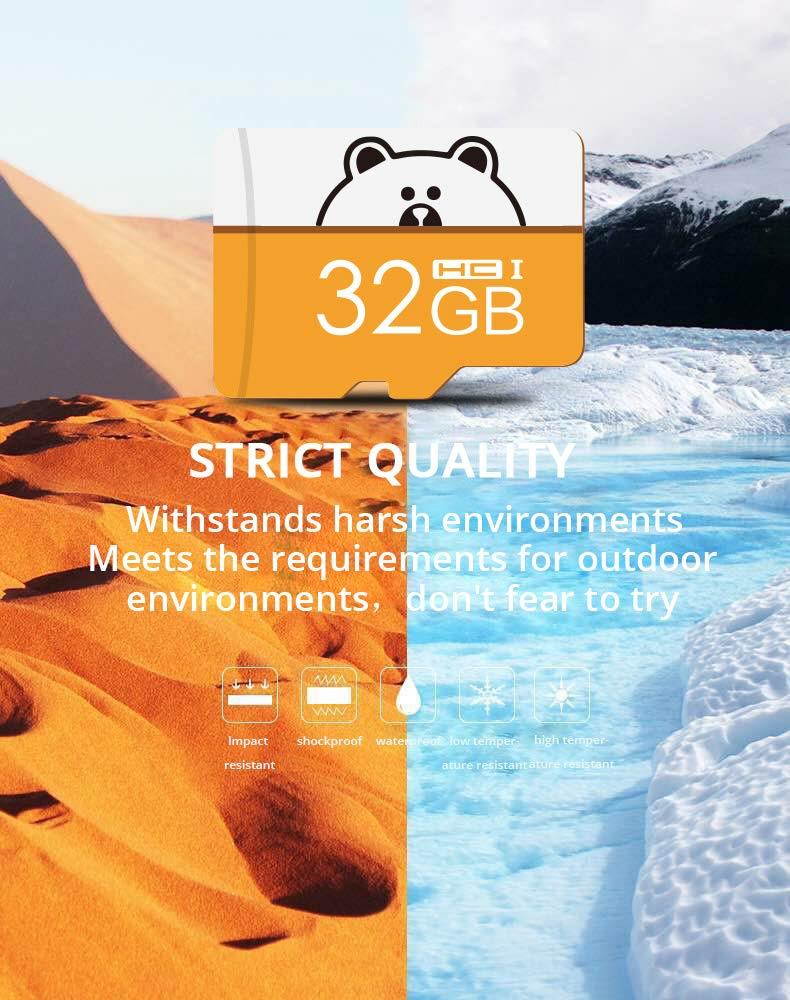 ACHICOO Cartoon Micro SD Card Memory Card Flash Memory Microsd for Smartphone 32G