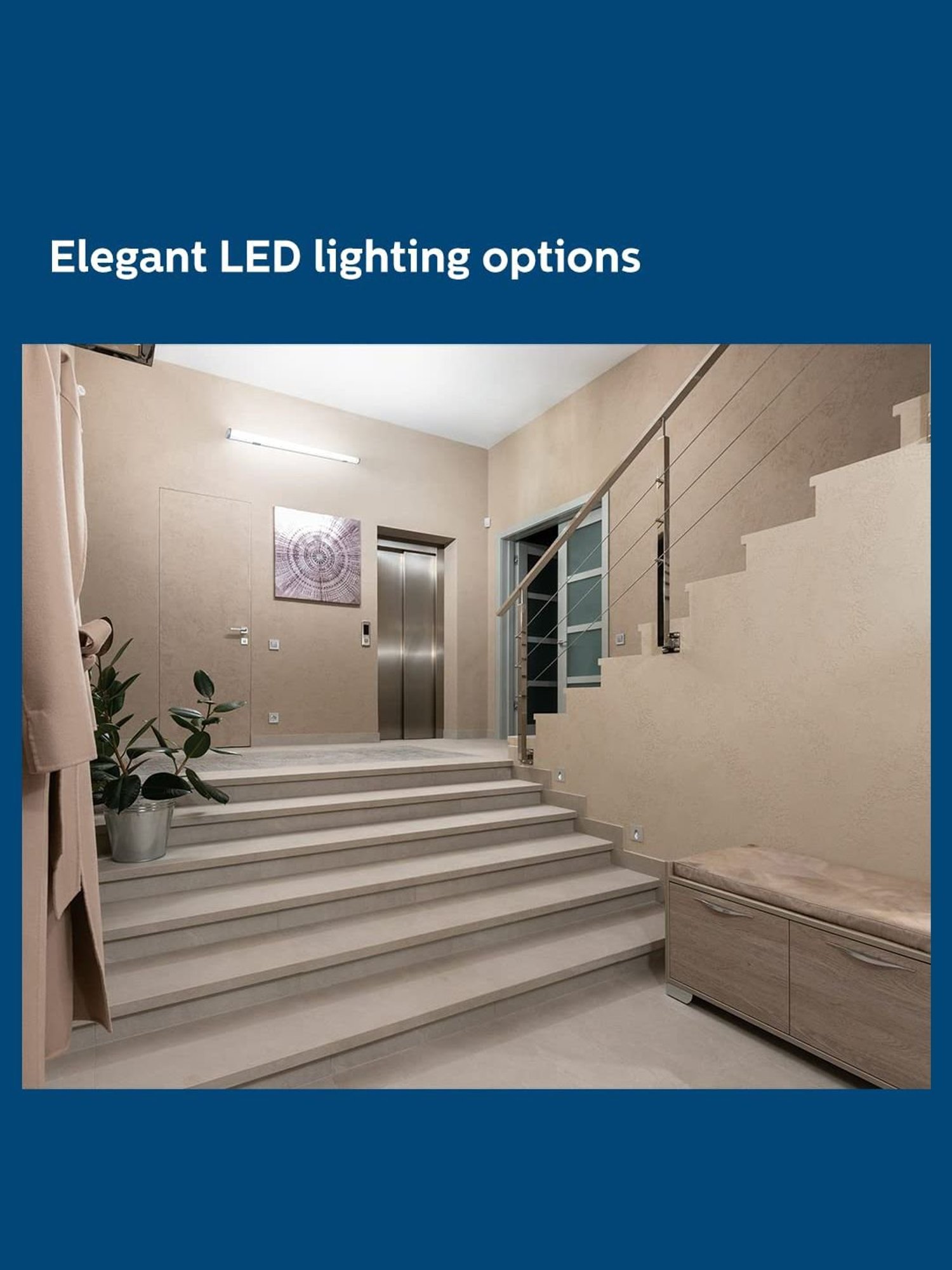 Eveready 0.5 W Standard B22 LED Bulb Pack of 12 (Green)