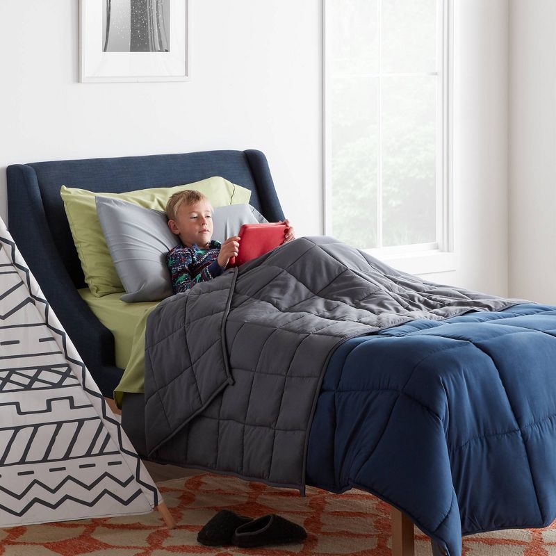 36" x 58" Comfort Collection 5lbs Weighted Bed Blanket Gray - Lucid