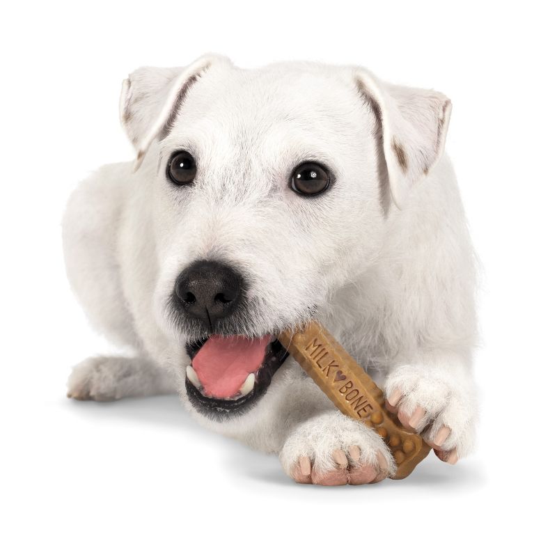 Milk-Bone Brushing Chews Daily Chicken Dental Dog Treats Large - 33.7oz/25ct per bag