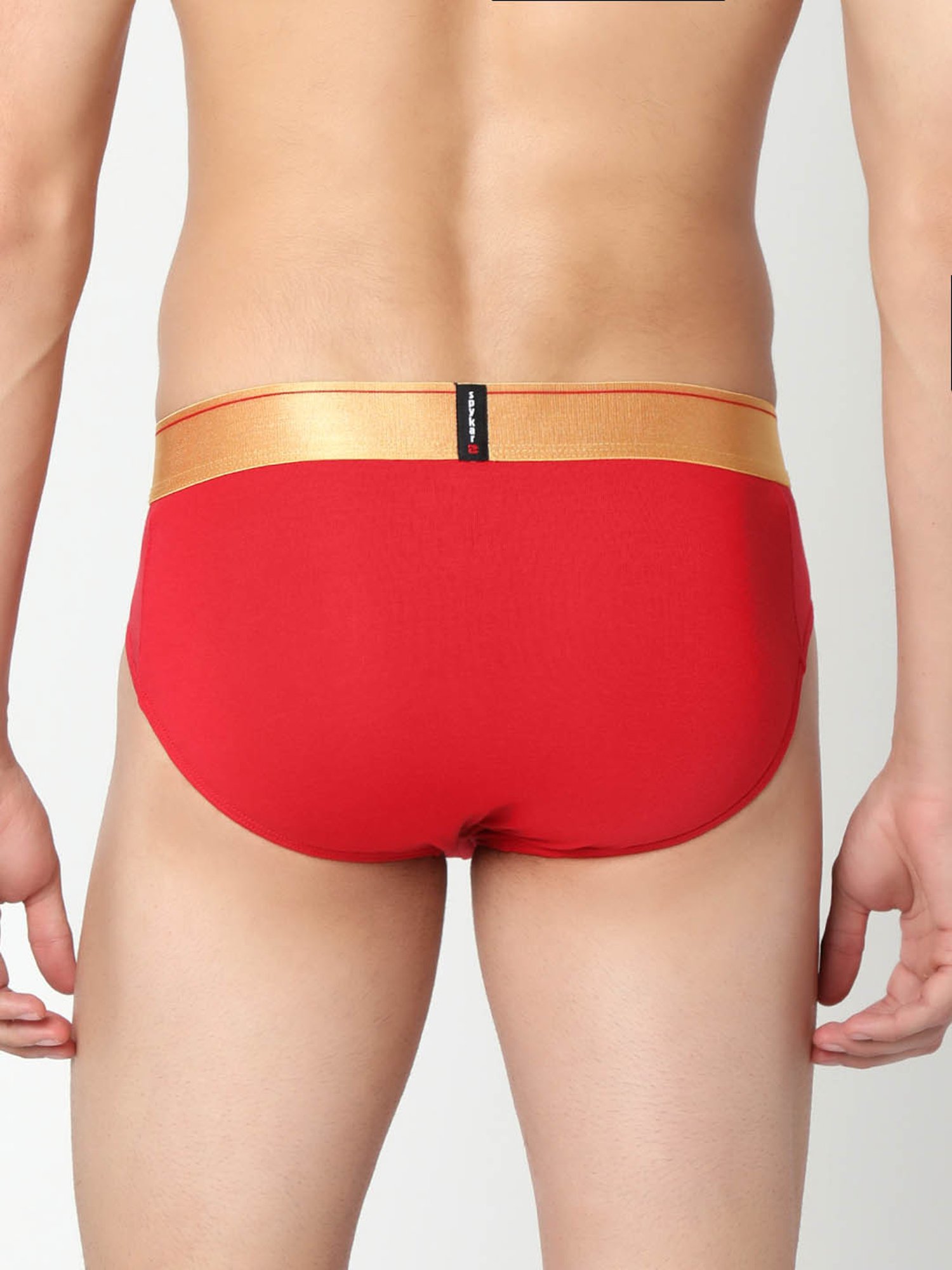 Underjeans By Spykar Multi Regular Fit Briefs - Pak of 2