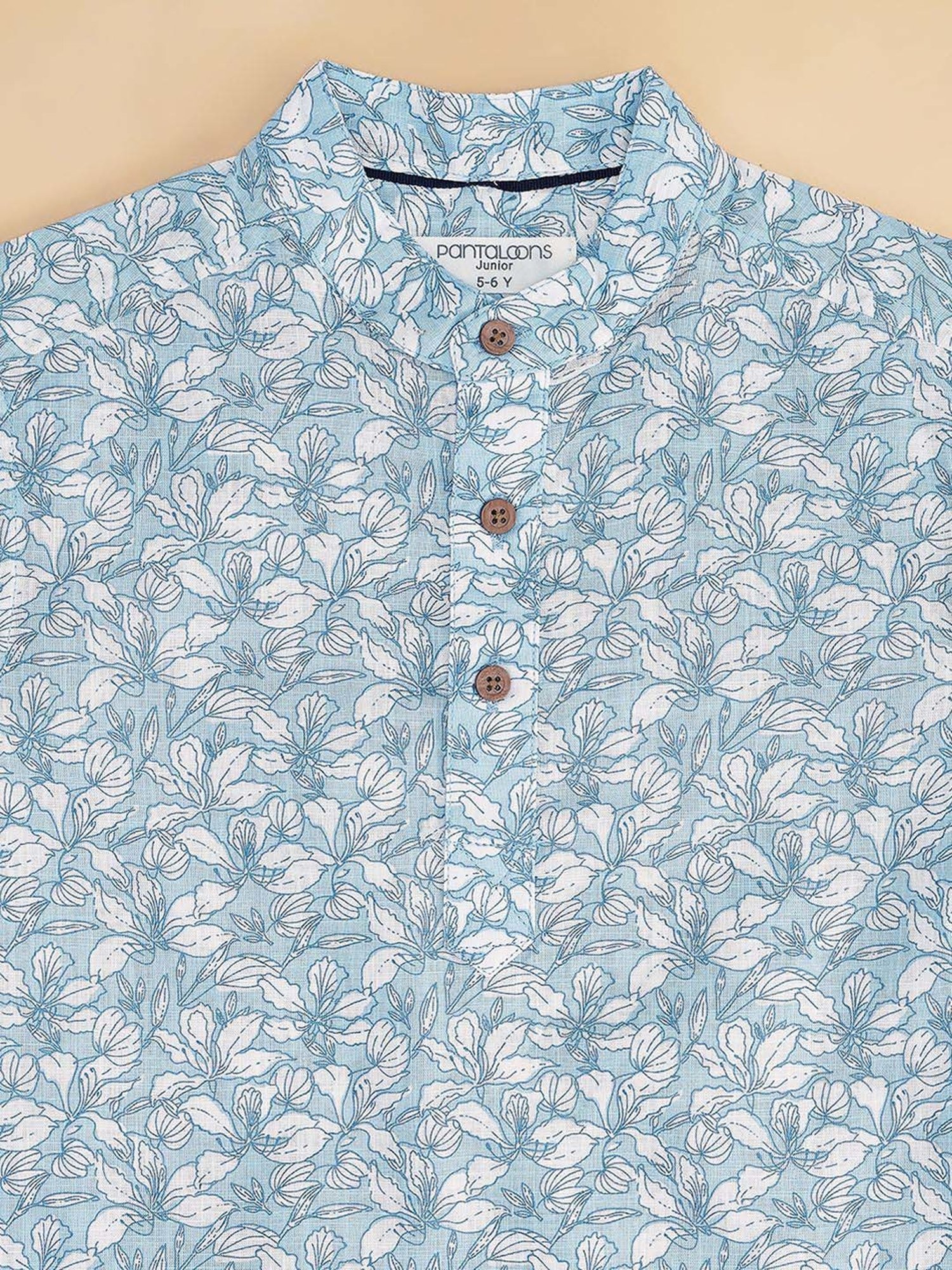 Pantaloons Baby Kids Alaskan Blue Cotton Printed Full Sleeves Shirt