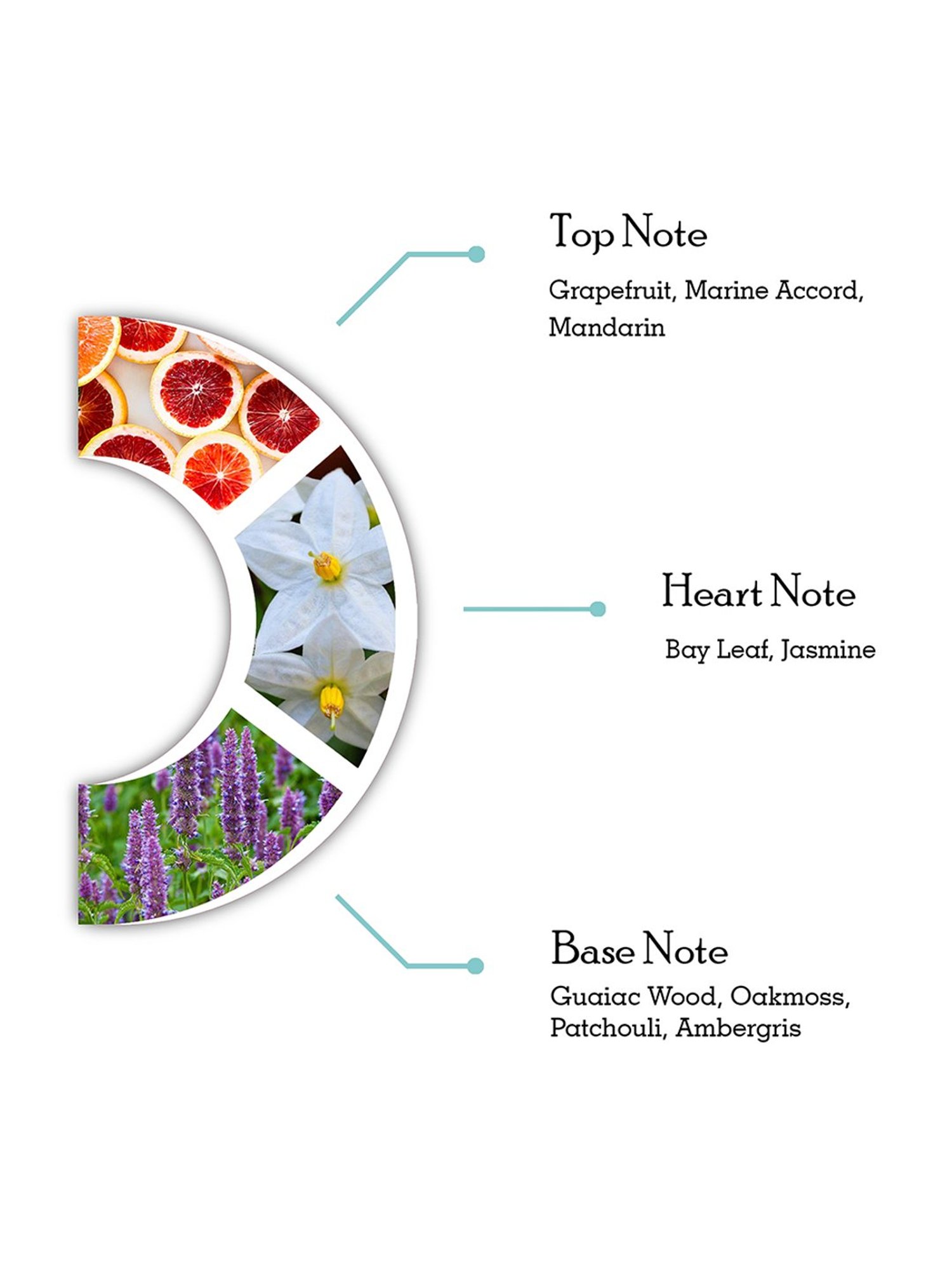 Dorall Collection Islanders Eau de Toilette For Men - 100 ml