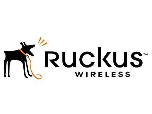 Ruckus Wireless 902-0180-US00 Spare POE Injector Qty 1 for 7762 Series US Plug