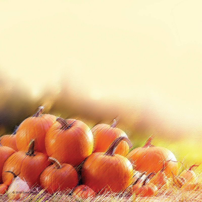 80ct Glistening Pumpkins Letterhead