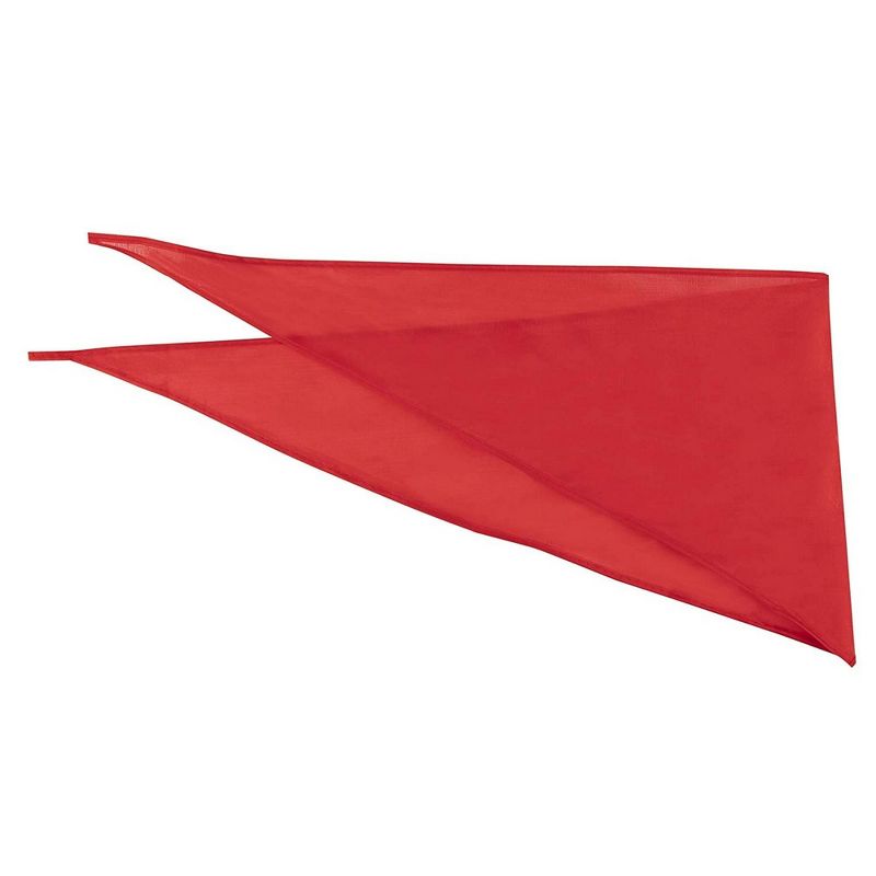 Amazin' Aces Wood Pickleball Set with 2 Wooden Padded Paddles, 4 Yellow Balls, and Carry Bag Great for Schools, Community Centers, and Athletic Clubs