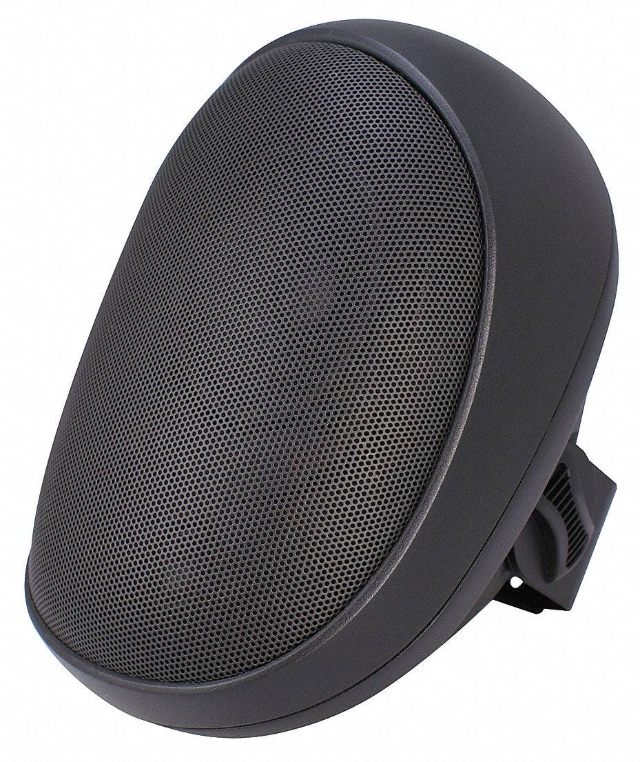 SPECO TECHNOLOGIES SP4AWET Speaker,Indoor/Outdoor,9-1/2 In.