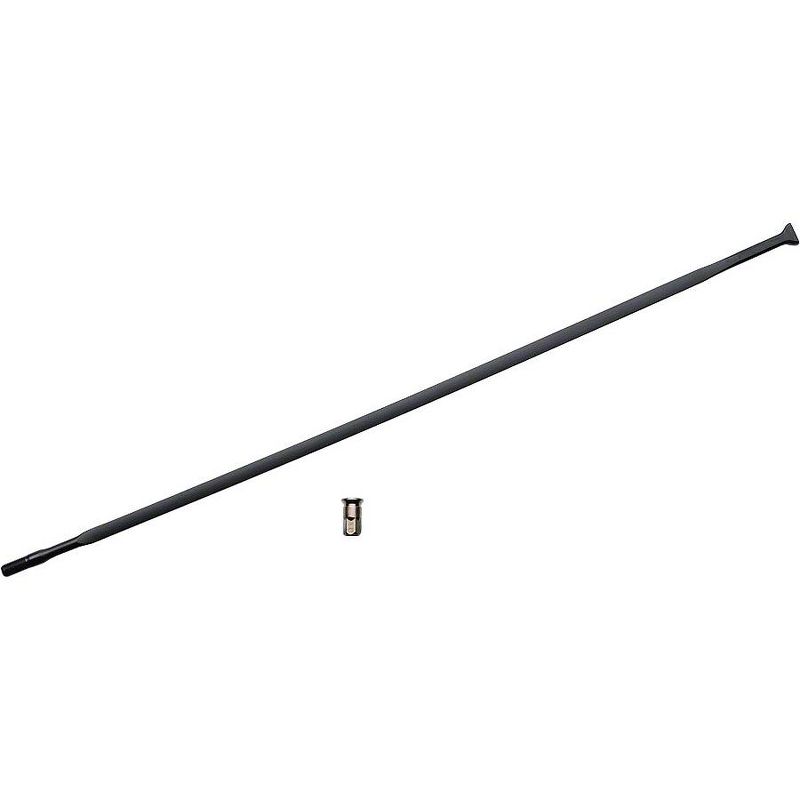 Campagnolo Eurus Spoke Kit