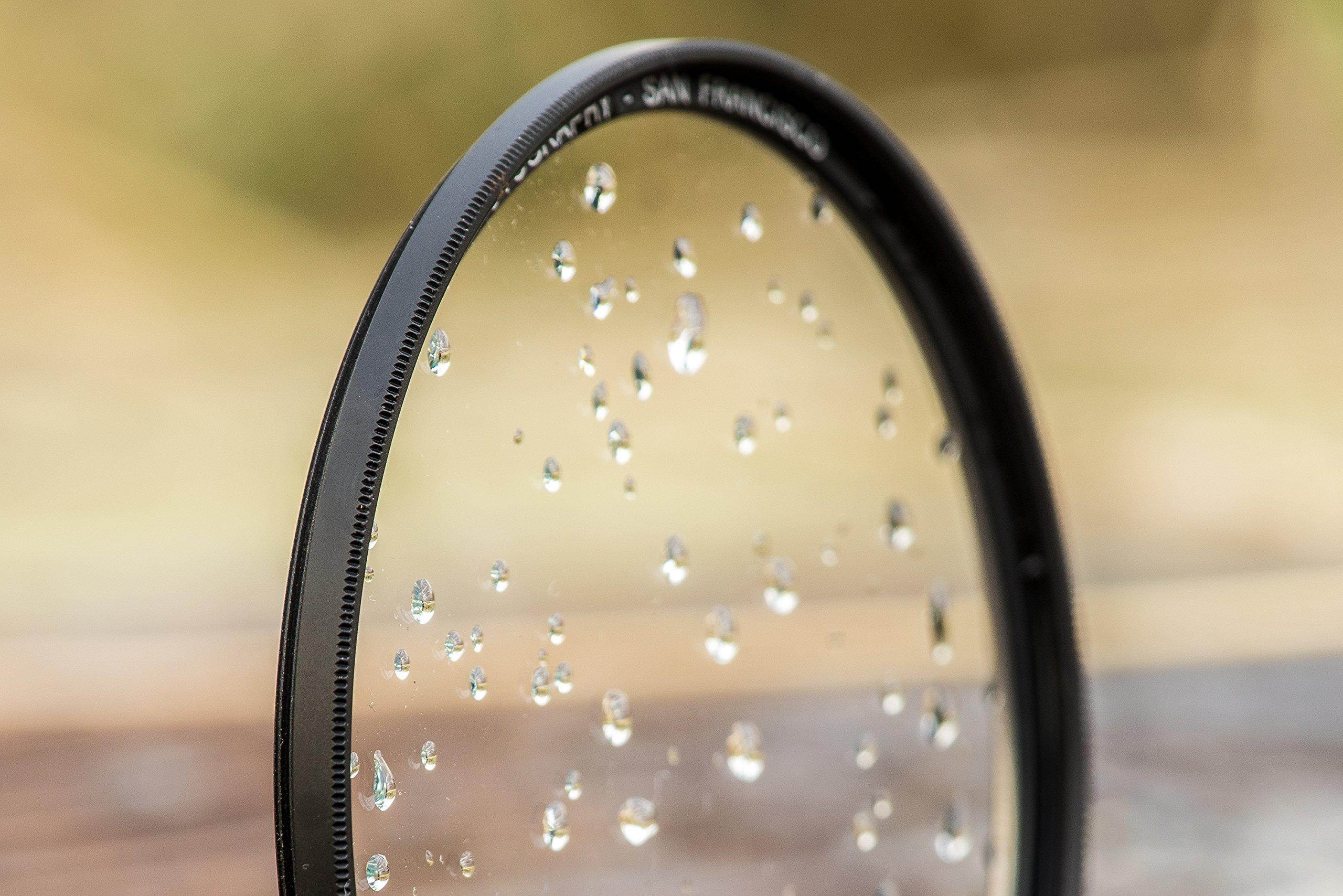 Clapper Hollow HC102 Weimaraner Framed Print