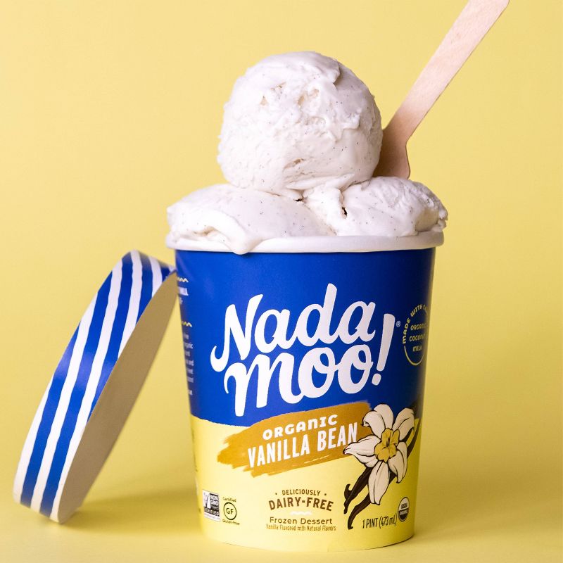 NadaMoo! Organic Vanilla Bean Dairy-Free Frozen Dessert - 16oz