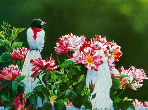 Susan Bourdet's Songbirds - Blank Card Set by Leanin' Tree (AST90634) - 20 cards with full-color interiors and 22 designed envelopes