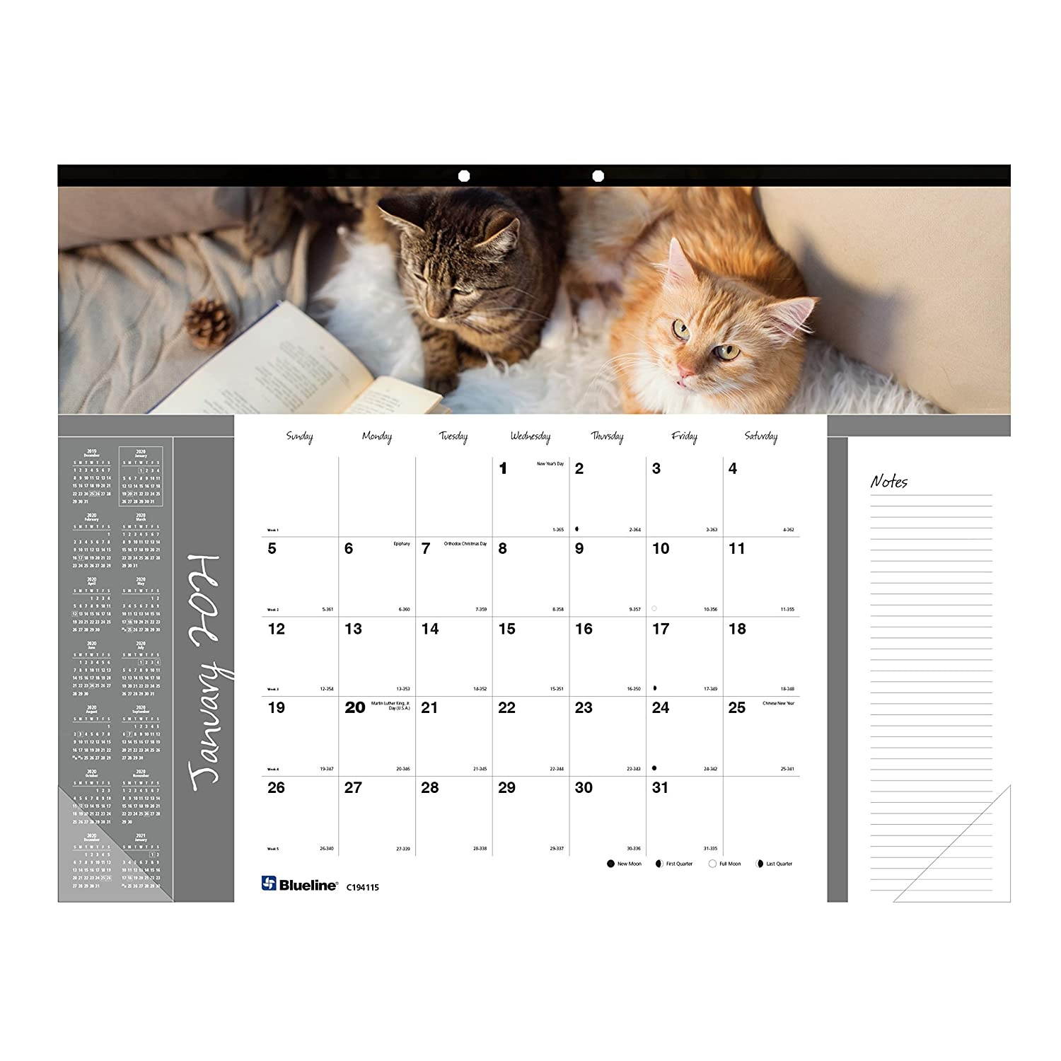 Blueline 2021 Monthly Desk Pad, 22 x 17 inches, Furry Collection (C194115-21)