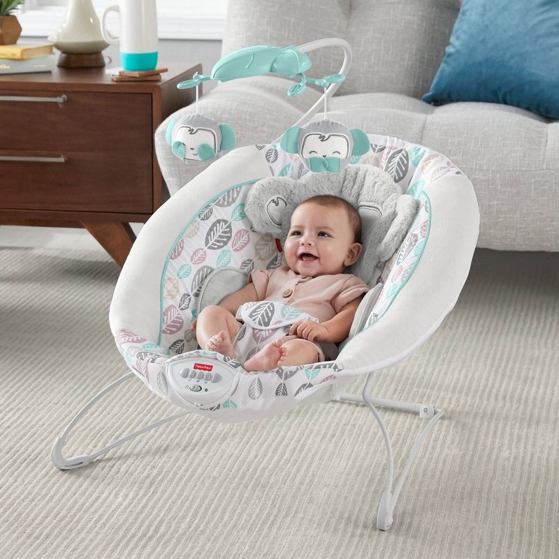 ​Fisher-Price Baby Bouncer