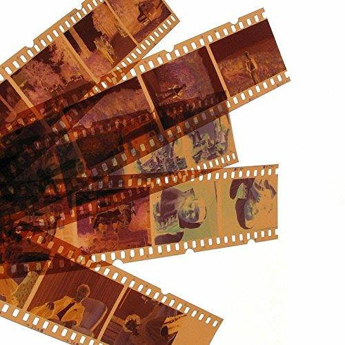 Negative Trays Set of 3 - Fits most zonoz, Wolverine Data, Jumbl, Magnasonic, Digitnow, SainSonic & ClearClick 35mm Slide & Negative Scanners