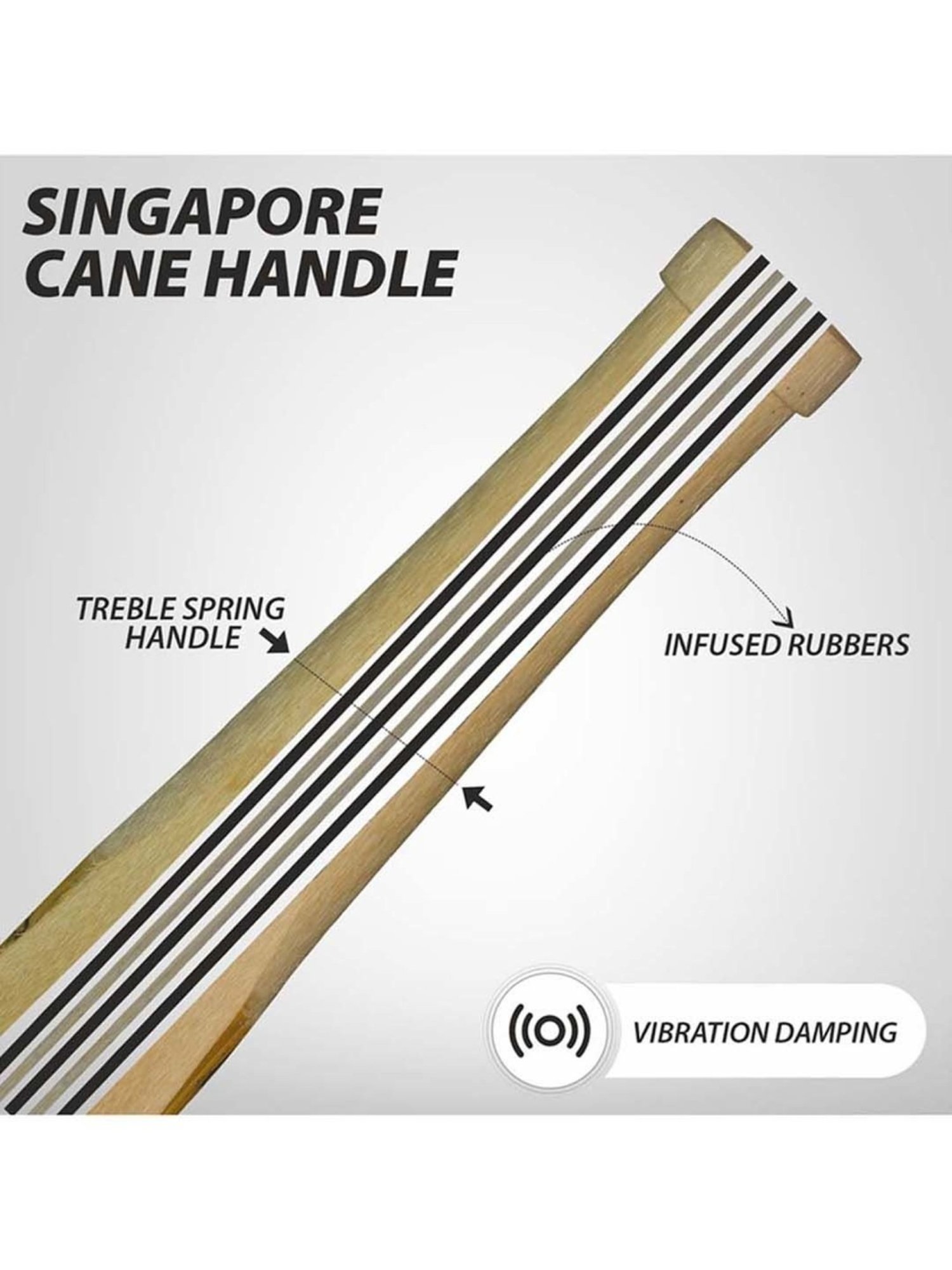 DSC Blak 200 English Willow Cricket Bat Size - 6