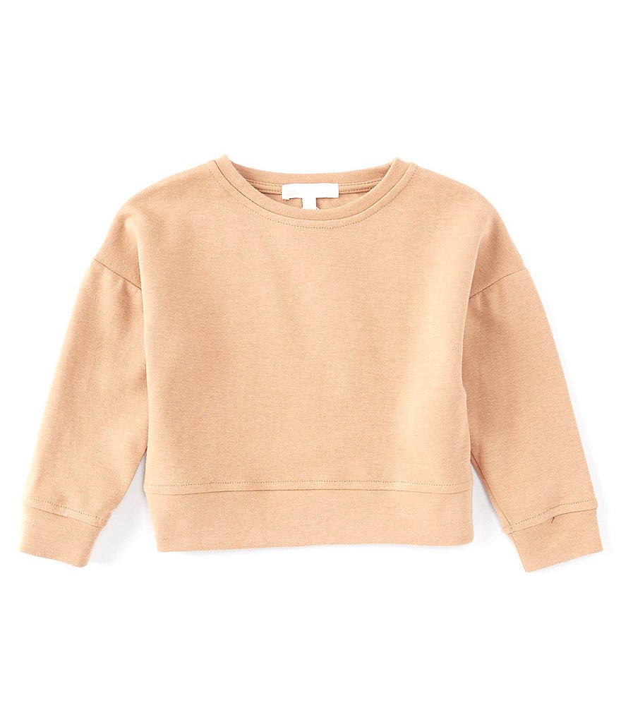 Flapdoodles Little Girls 2T-6X Long Sleeve Stripe Hoodie