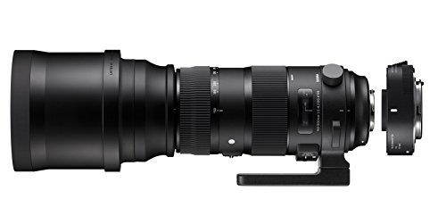 Sigma ZA954 150-600mm F5-6.3 DG HSM Sport Lens with 1.4X Tele-Converter Kit for Canon (Black)