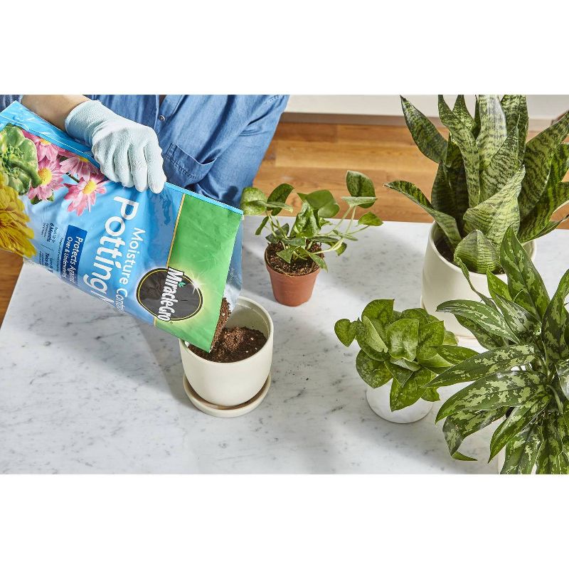 Miracle-Gro Water Soluble Plant Food and Potting Mix