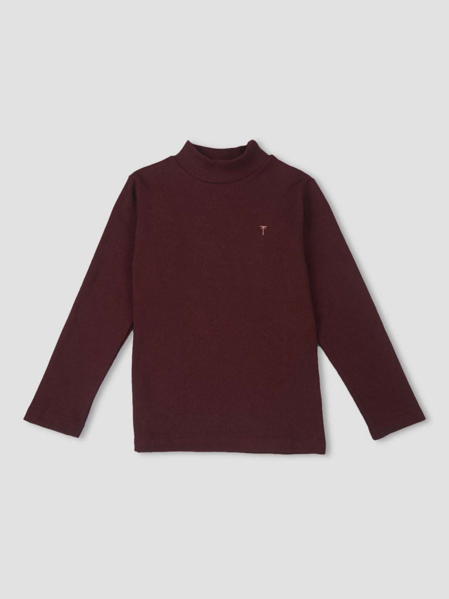 Palm Tree Kids Maroon Cotton Regular Fit Full Sleeves Skivvy
