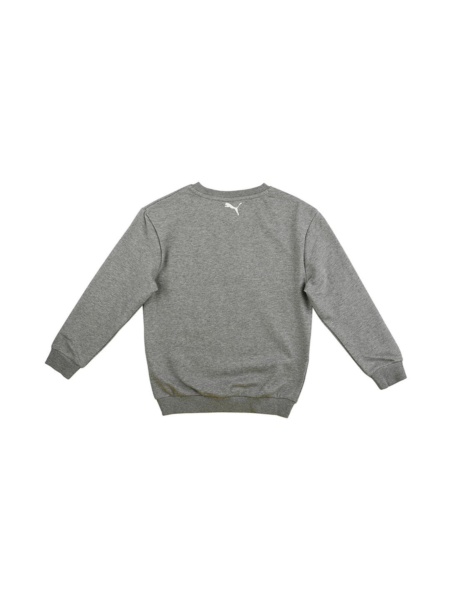 Puma Kids Alpha Grey Printed  Sweatshirt