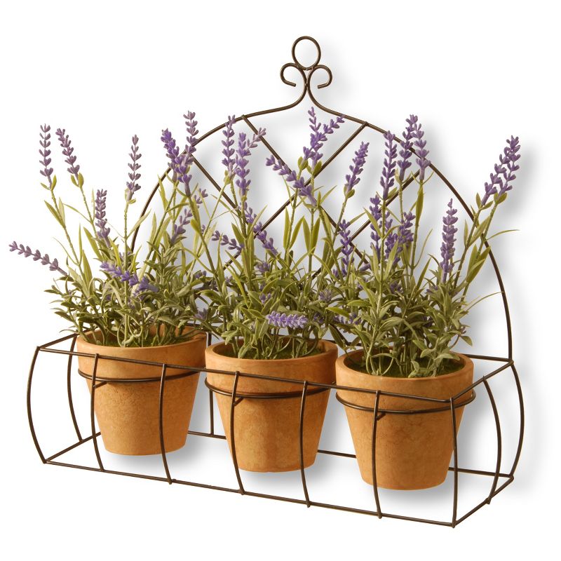 17" Potted Lavender Plants in Rack - National Tree Company