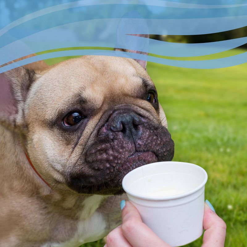 Purina Frosty Paws Peanut Butter Flavor Frozen Dog Treats - 4pk