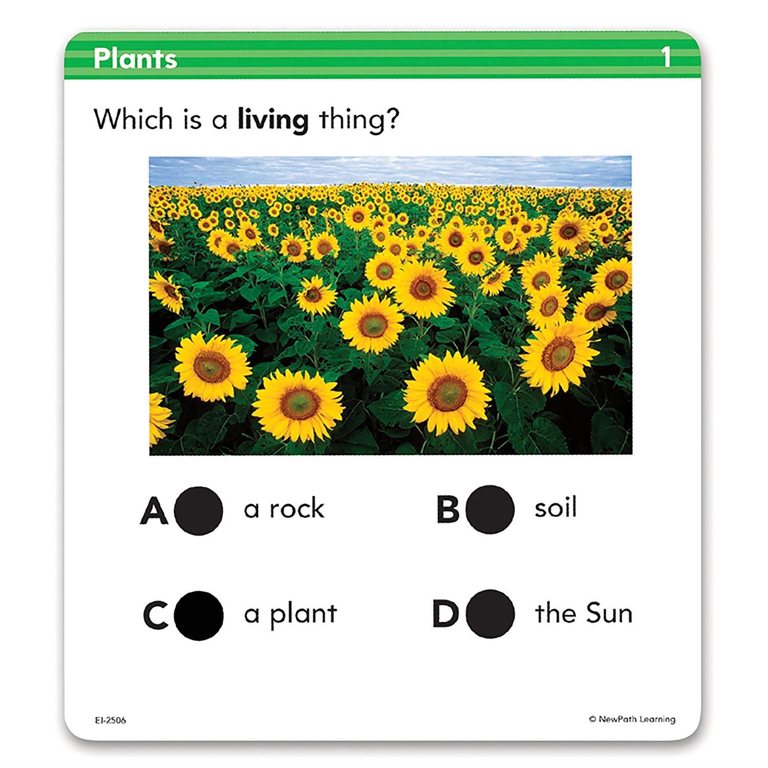 Educational Insights 2506 Hot Dots Science Standards-Based Review Cards - Grade 2