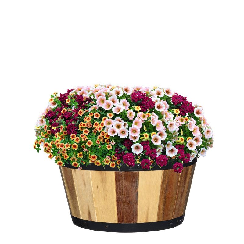 Set of 2 Acacia Whiskey Barrel Planter - Classic Home and Garden