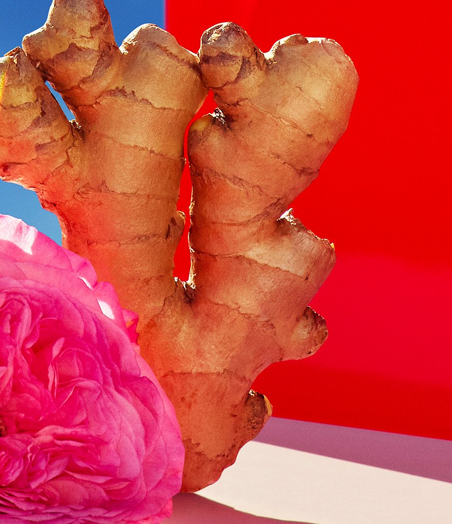 Flower by Kenzo Eau De Vie Eau de Parfum