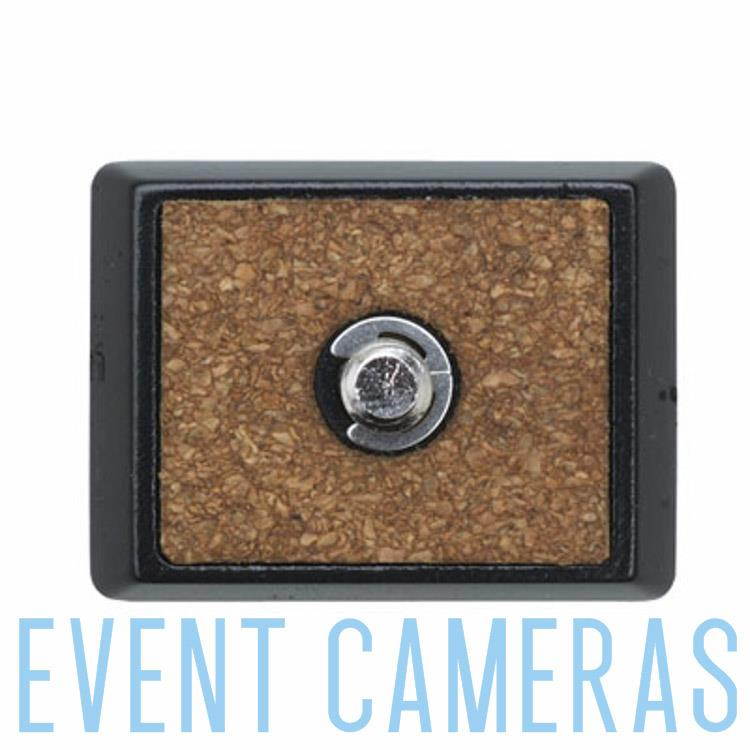 Slik Quick Release Plate for DQ10, SHB-100DQ and SHB-120DQ #618744