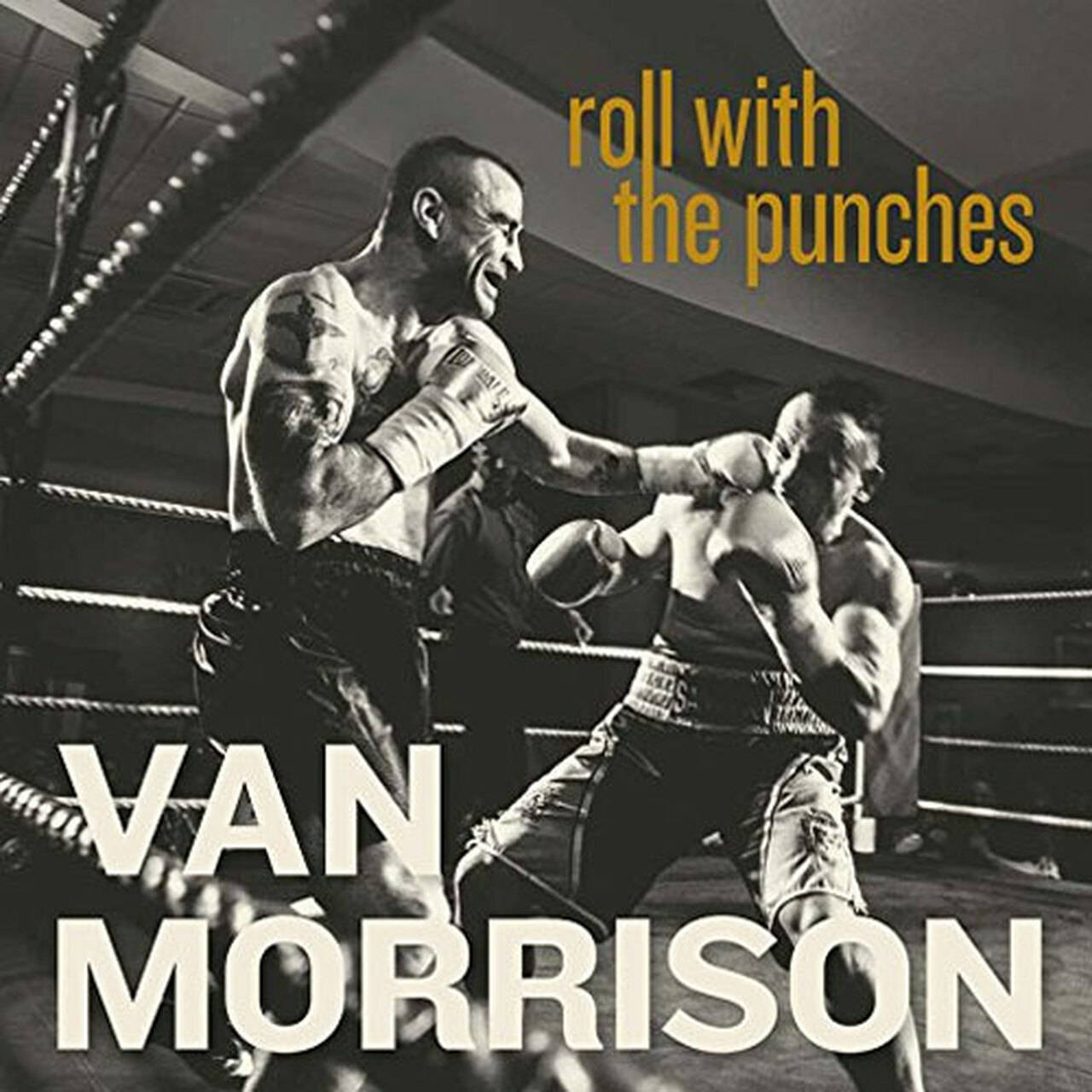 Van Morrison Roll With the Punches 180g 2LP (Vinyl)