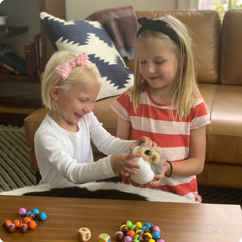 Roo Games Feed Fuzzy Color and Counting Game for Kids - Ages 3+